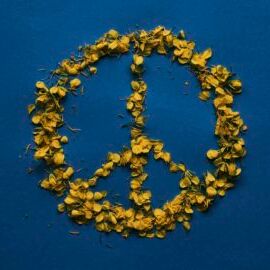 Friedenssymbol aus gelben Blüten auf blauem Hintergrund  | Sabine Verheyen