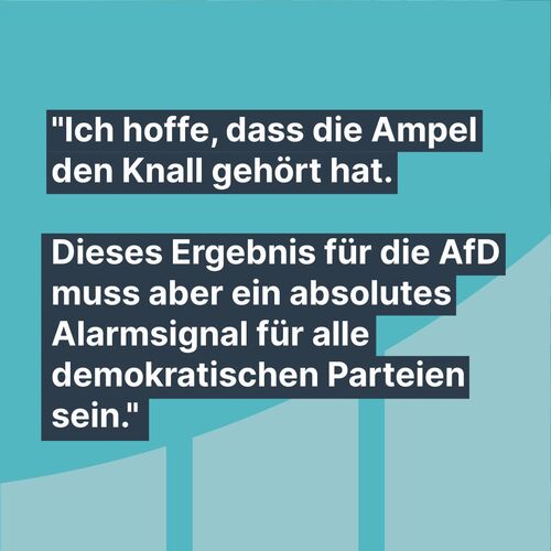 Sabine Verheyen - Ergebnis Europawahl (Ampel & AfD Ergebnis)
